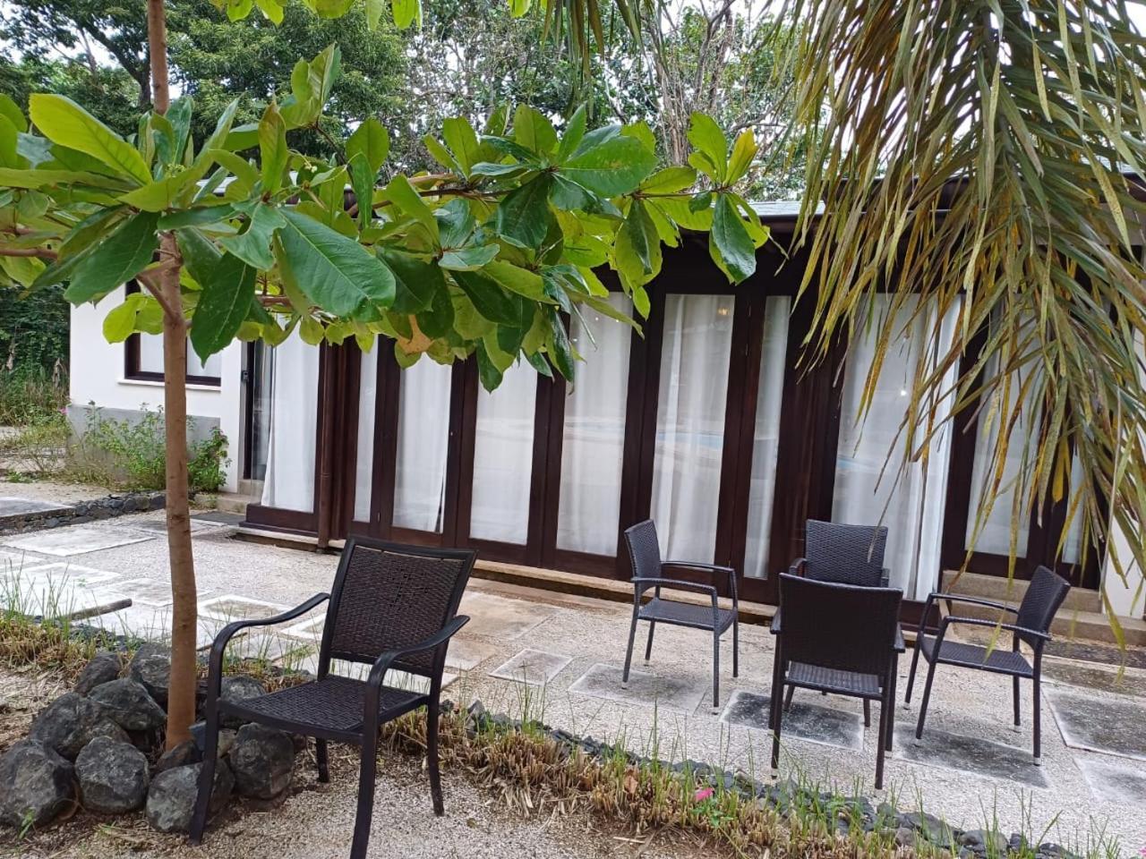 Beach Walk Costa Rica Плая Авеляна Екстериор снимка
