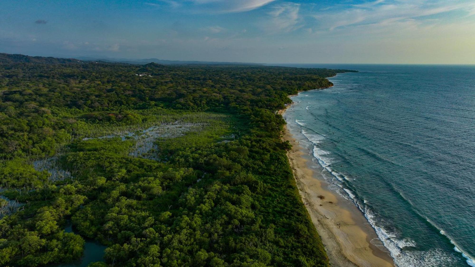 Beach Walk Costa Rica Villa Плая Авеляна Екстериор снимка